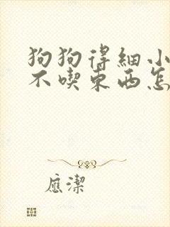 狗狗得细小好转不吃东西怎么办封面