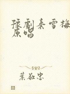 豫剧秦雪梅吊孝原唱