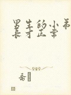 男生的小弟弟多长才正常