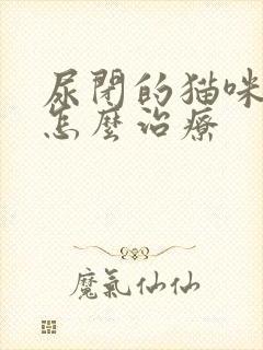 尿闭的猫咪在家怎么治疗封面