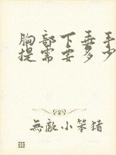 胸部下垂手术上提需要多少钱