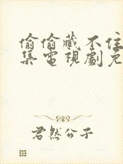 偷偷藏不住40集电视剧免费看全集