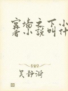 宫墙之下小说原著小说叫什么名字封面