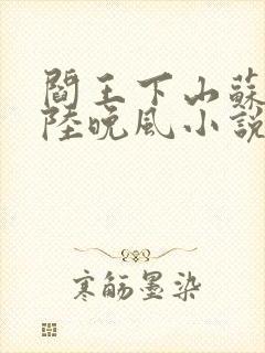 阎王下山苏文,陆晚风小说