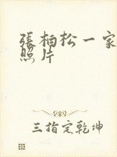 张柏松一家三口照片