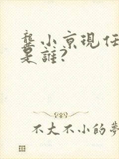 龚小京现任丈夫是谁?