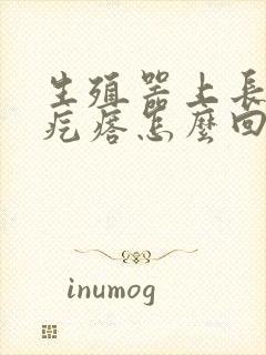 生殖器上长小肉疙瘩怎么回事封面