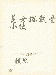 美女总裁爱上穷小伙封面