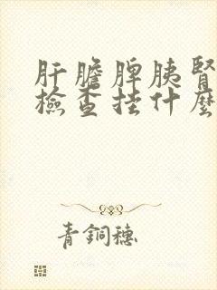 肝胆脾胰肾彩超检查挂什么科