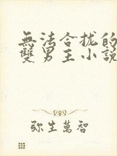 无法合拢的总裁双男主小说