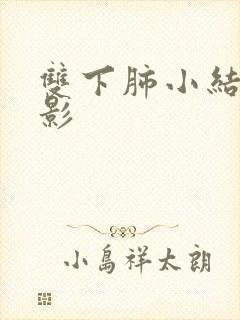 双下肺小结节样影