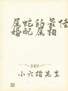 属蛇的最佳上等婚配属相