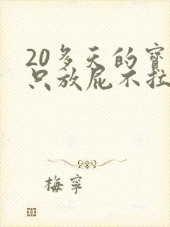 20多天的宝宝只放屁不拉屎怎么回事