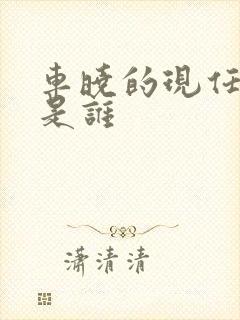 车晓的现任丈夫是谁