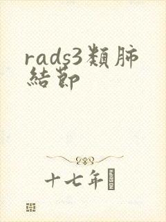 rads3类肺结节封面