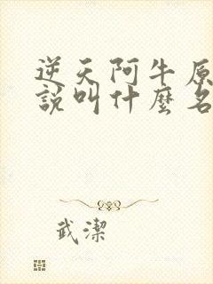 逆天阿牛原著小说叫什么名字