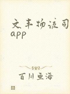 文丰物流司机端app