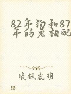 82年狗和87年的兔相配吗