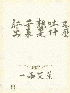 肚子想吐又吐不出来是什么原因