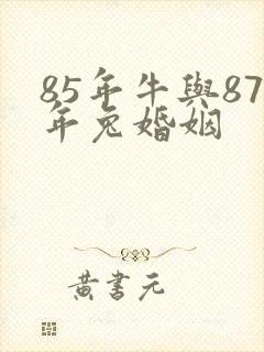 85年牛与87年兔婚姻