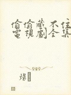 偷偷藏不住在线电视剧全集免费观看