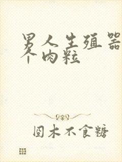 男人生殖器长一个肉粒封面