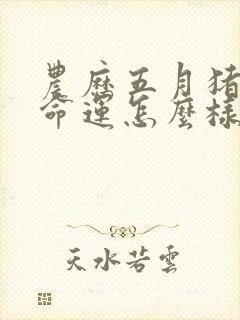 农历五月猪女的命运怎么样