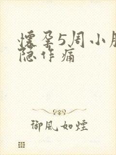 怀孕5周小腹隐隐作痛封面