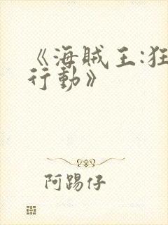 《海贼王:狂热行动》