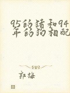 95的猪和94年的狗相配吗