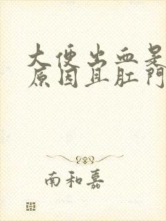 大便出血是什么原因且肛门疼痛