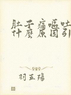 肚子痛呕吐不拉什么原因引起的