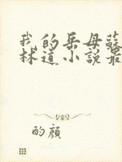 我的岳母苏沛真林道小说最新章节下载