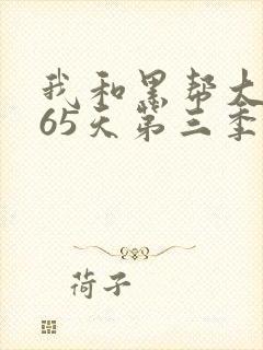 我和黑帮大佬365天第三季