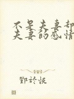 不是夫妻却胜似夫妻的感情封面