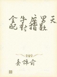 金牛座男天秤女配对指数