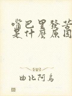 嘴巴里发苦发臭是什么原因