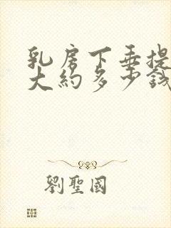 乳房下垂提手术大约多少钱