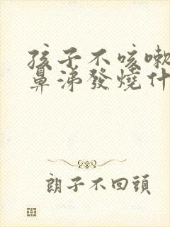 孩子不咳嗽不流鼻涕发烧什么原因