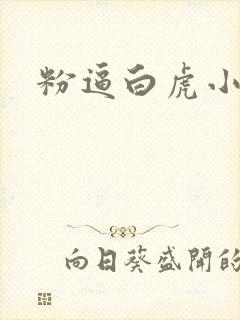 粉逼白虎小萝莉