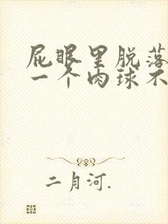 屁眼里脱落出来一个肉球不痛不痒