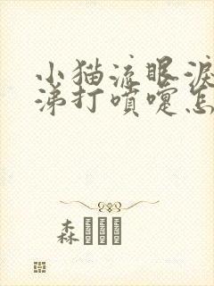 小猫流眼泪流鼻涕打喷嚏怎么治疗封面