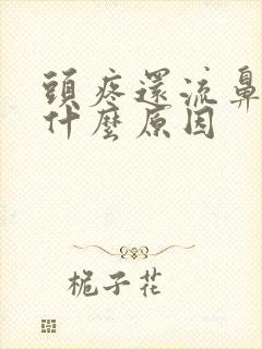 头疼还流鼻血是什么原因