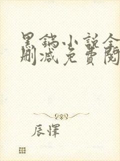 黑锅小说全文无删减免费阅读