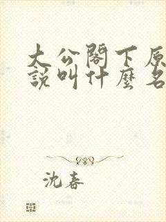 大公阁下原著小说叫什么名字封面