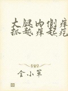 大腿内侧痒痒越抓越痒起疙瘩的怎么回事