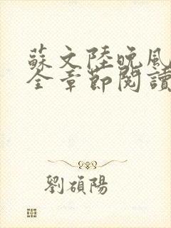 苏文陆晚风小说全章节阅读