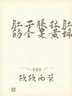 肚子胀拉肚子拉的全是黄稀水封面