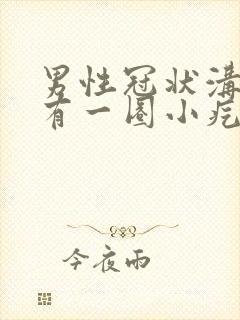 男性冠状沟边缘有一圈小疙瘩封面