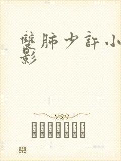 双肺少许小结节影